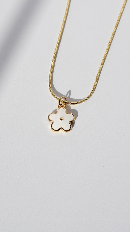 Collar Fleur Blanche 🤍✨