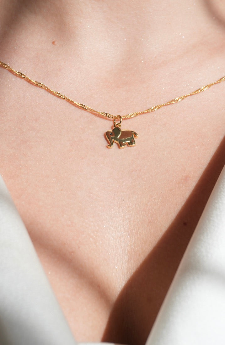 Collar Petit Éléphant 🐘✨