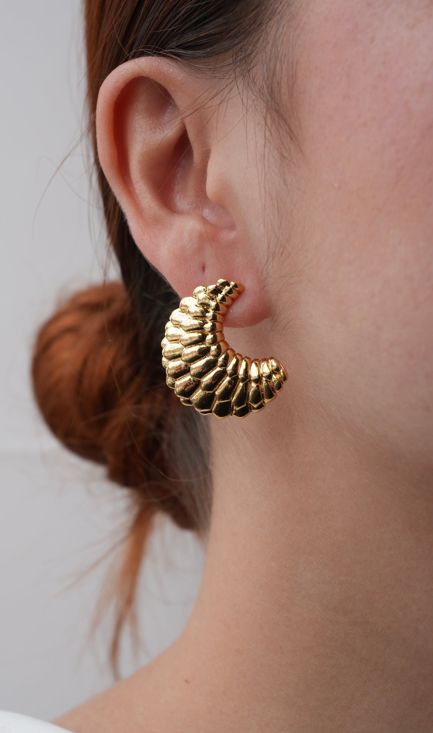Aretes Fenix