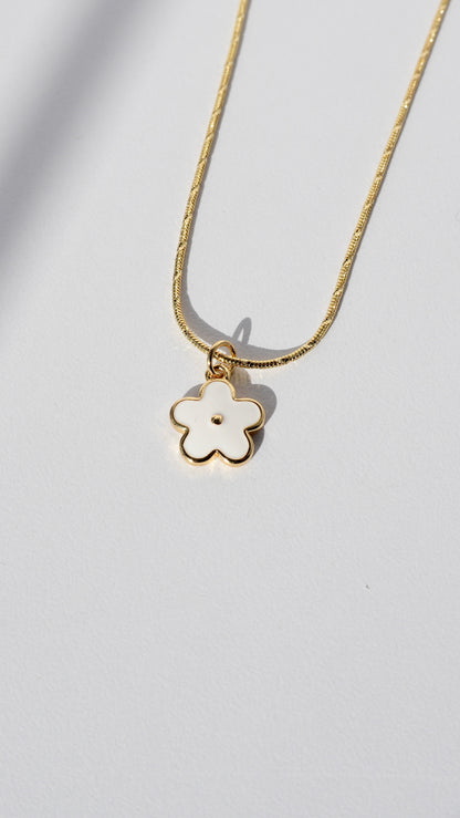 Collar Fleur Blanche 🤍✨