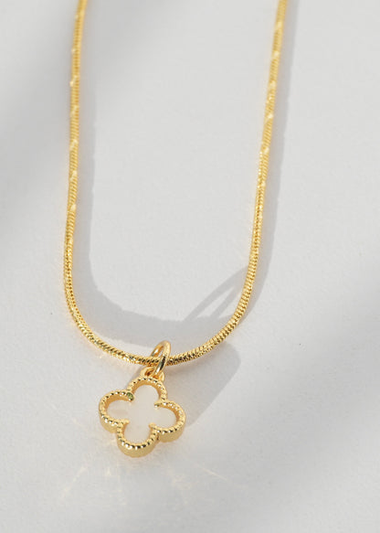 Collar Clover Blanc 🍀🤍