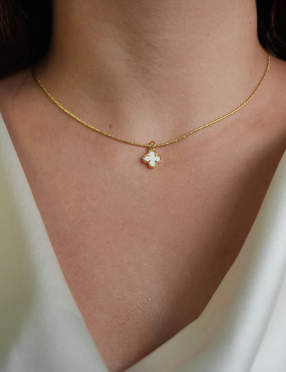 Collar Clover Blanc 🍀🤍