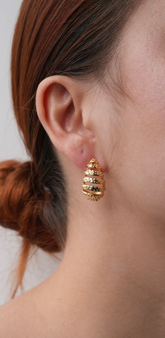Aretes Royal