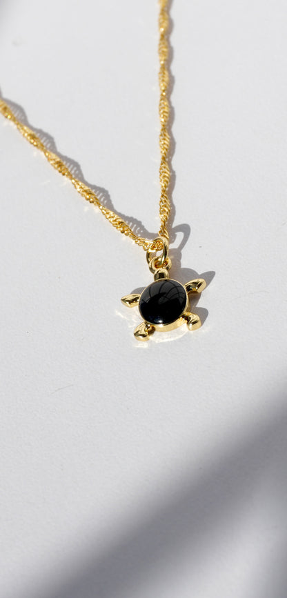 Collar Petit Tortue 🐢🖤✨