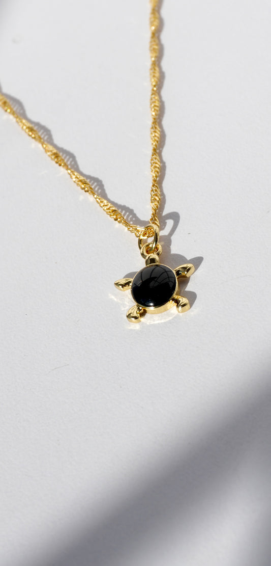 Collar Petit Tortue 🐢🖤✨